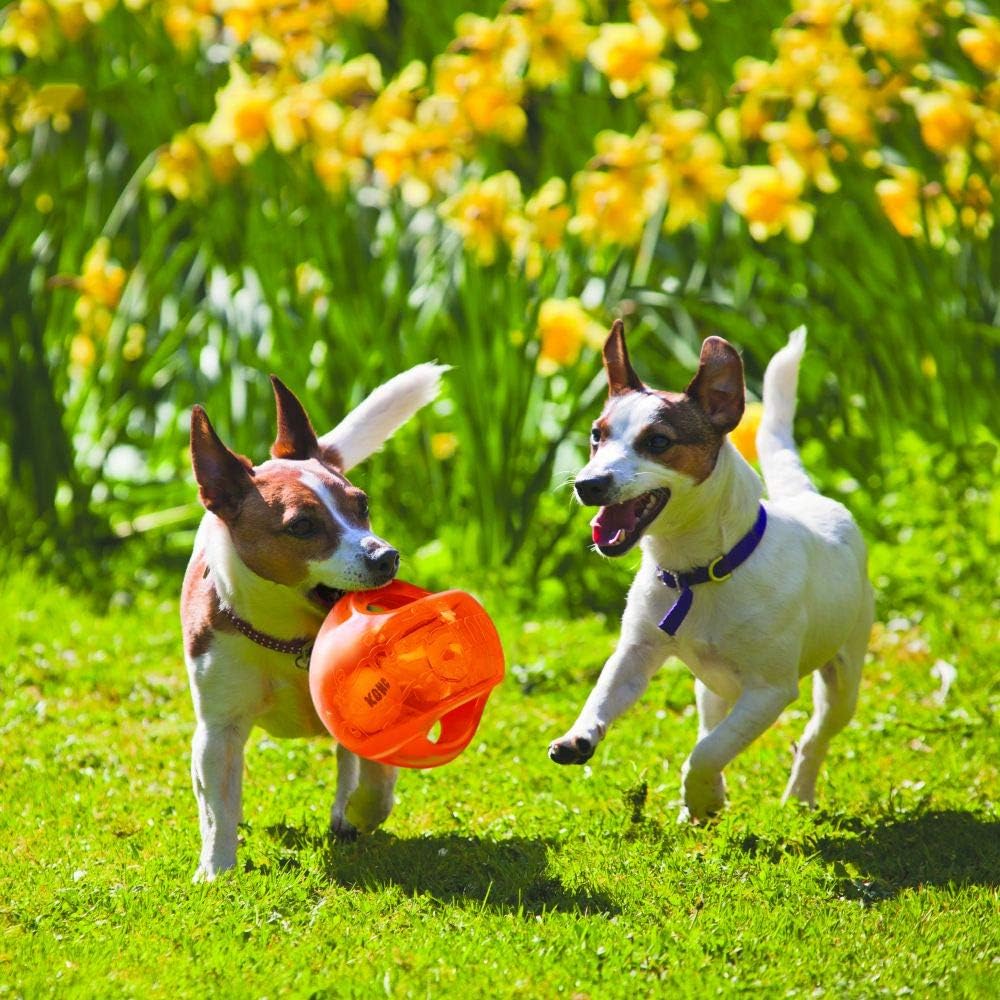 KONG Jumbler Dog Toy Ball Assorted LG/XL