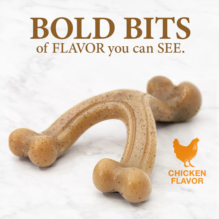 Nylabone Gourmet Style Strong Chew Wishbone Dog Chew Toy Chicken, 1ea/Large/Giant Up To 50 Lbs. 1 ct