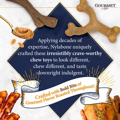 Nylabone Gourmet Style Strong Chew Wishbone Dog Chew Toy Bacon, 1ea/Large/Giant Up To 50 Lbs. 1 ct