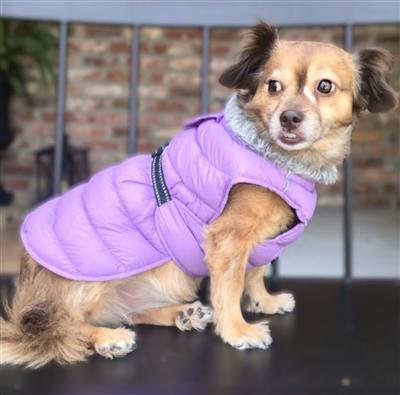 Alpine Extreme Weather Puffer Coat