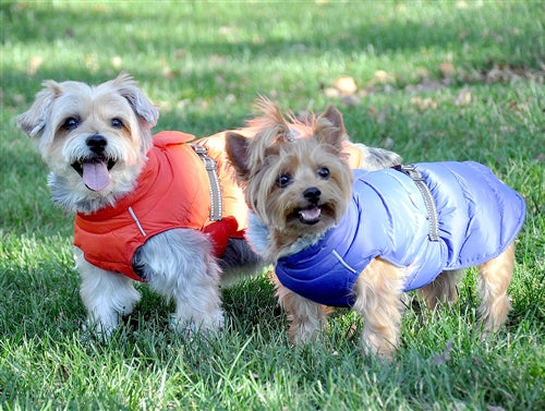 Alpine Extreme Weather Puffer Coat