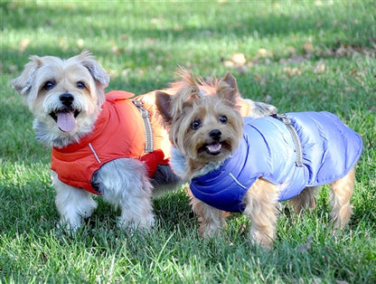 Alpine Extreme Weather Puffer Coat