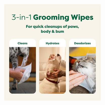 Earth Rated Dog Grooming Wipes White Tea & Basil 100 Count