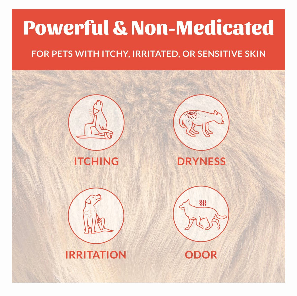 Skout's Honor Dog Probiotic Itch Relief Shampoo 16oz