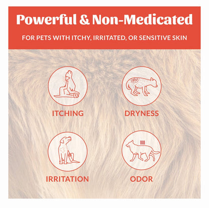 Skout's Honor Dog Probiotic Itch Relief Shampoo 16oz