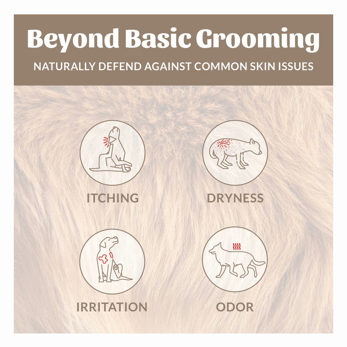 Skouts Honor Dog Deodorizer Dog Of The Woods 8oz