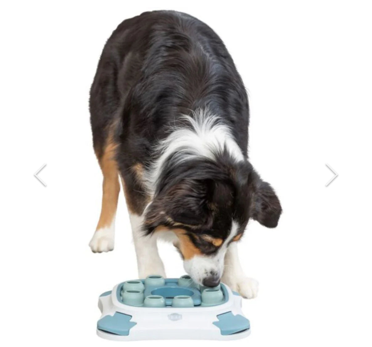 Trixie Dog Activity Slide Paw & Lift