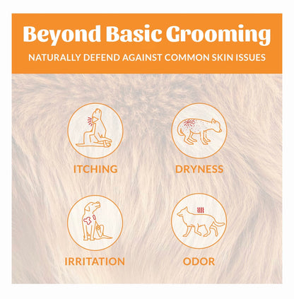 Skouts Honor Dog Deodorizer Honeysuckle 8oz